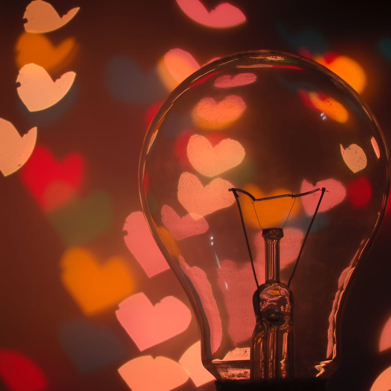 macro shot of light bulb